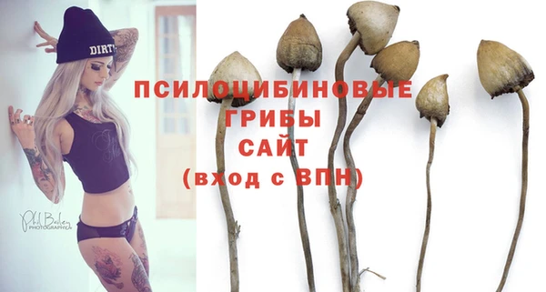стафф Баксан