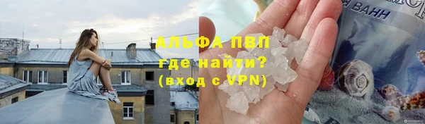 спайс Арсеньев